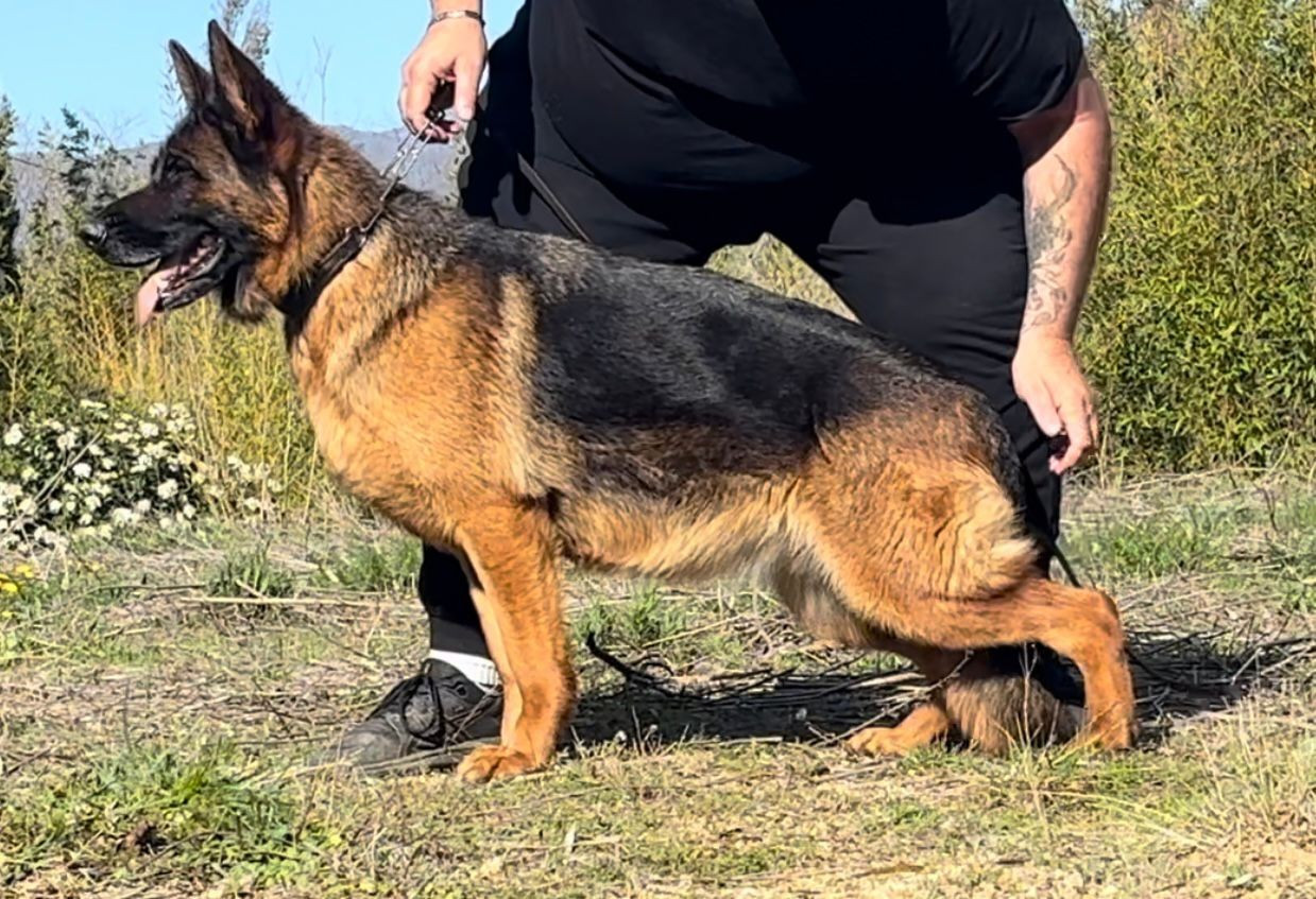 Tamise du grand Revoyet