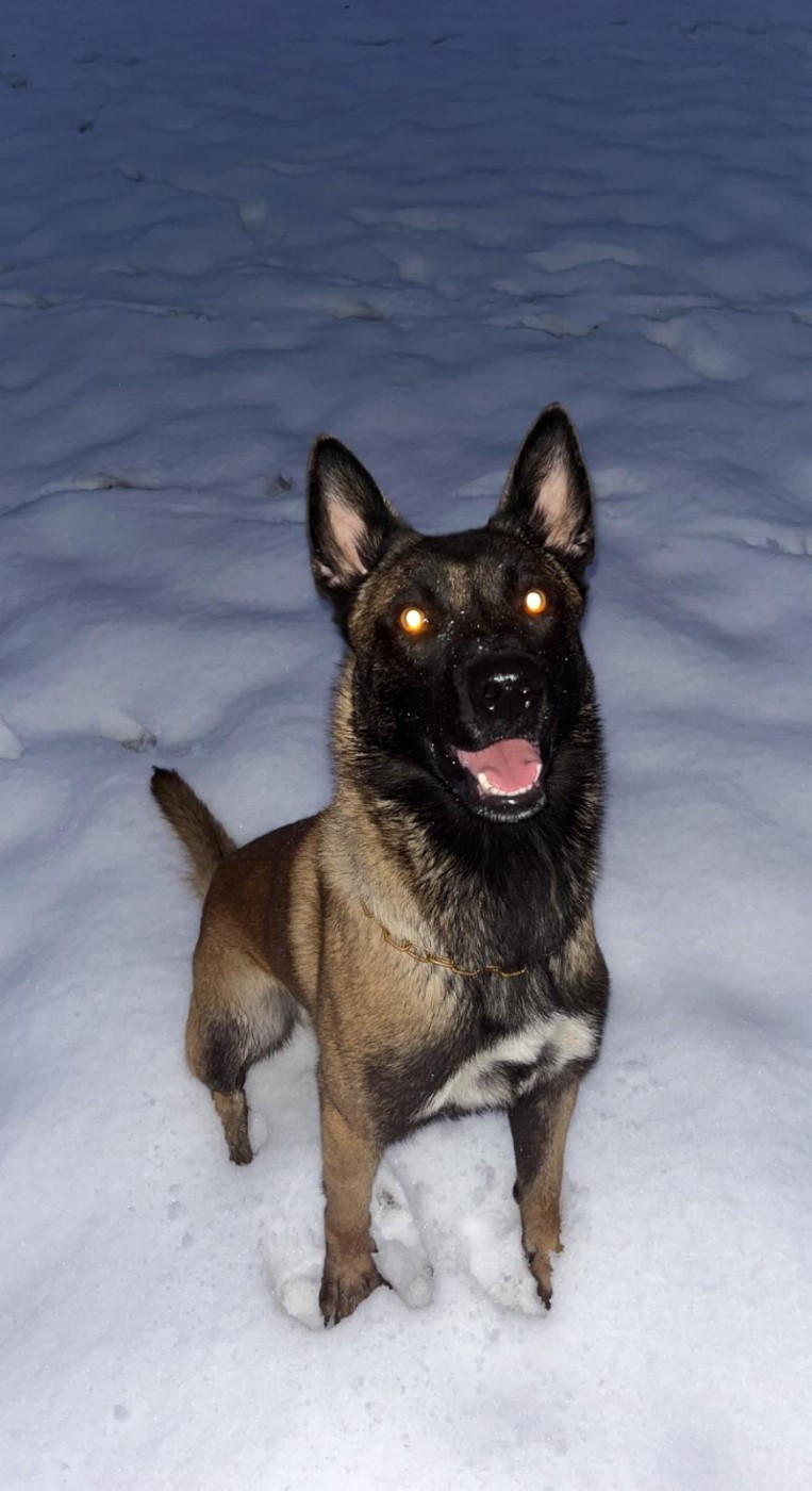 Roy du domaine de nérée